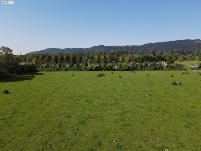 41108/41100 Oupor Dr, Scio, OR 97374 - view of mountain background with rural landscape and a forest