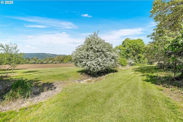 41108/41100 Oupor Dr, Scio, OR 97374 - view of grassy yard