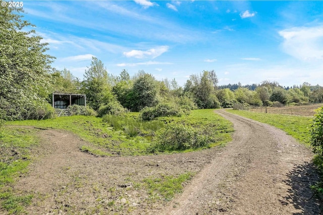 41108/41100 Oupor Dr, Scio, OR 97374 - view of dirt / gravel road