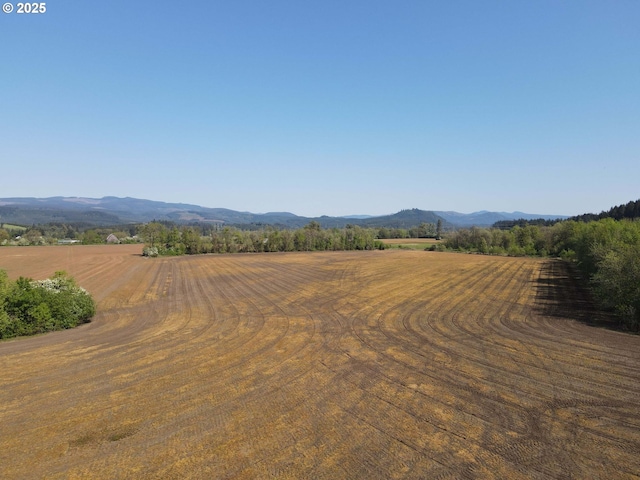 41108/41100 Oupor Dr, Scio, OR 97374 - mountain view featuring rural landscape