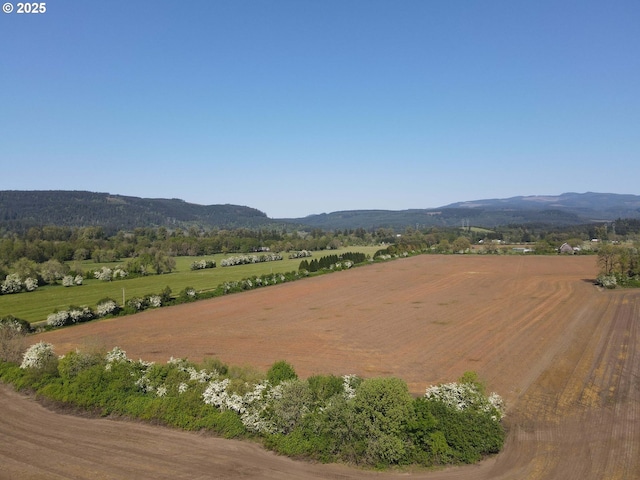 41108/41100 Oupor Dr, Scio, OR 97374 - view of mountain backdrop with rural landscape