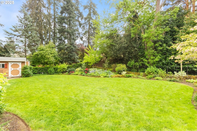 view of yard featuring a storage shed and an outdoor structure