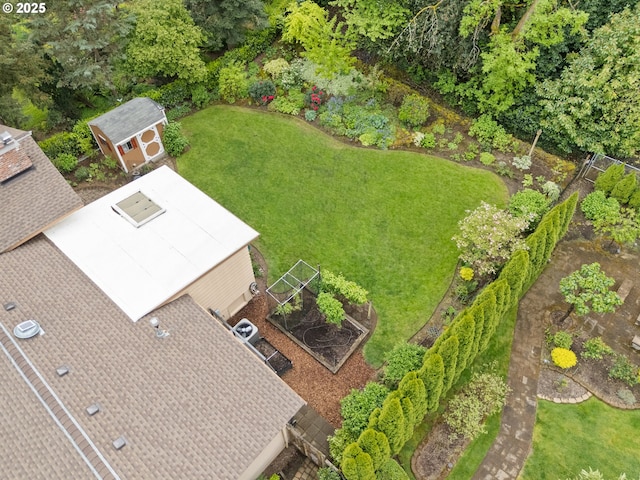 bird's eye view
