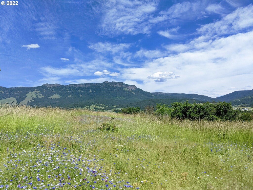 0 Rose Ridge Rd, Cove, OR 97824