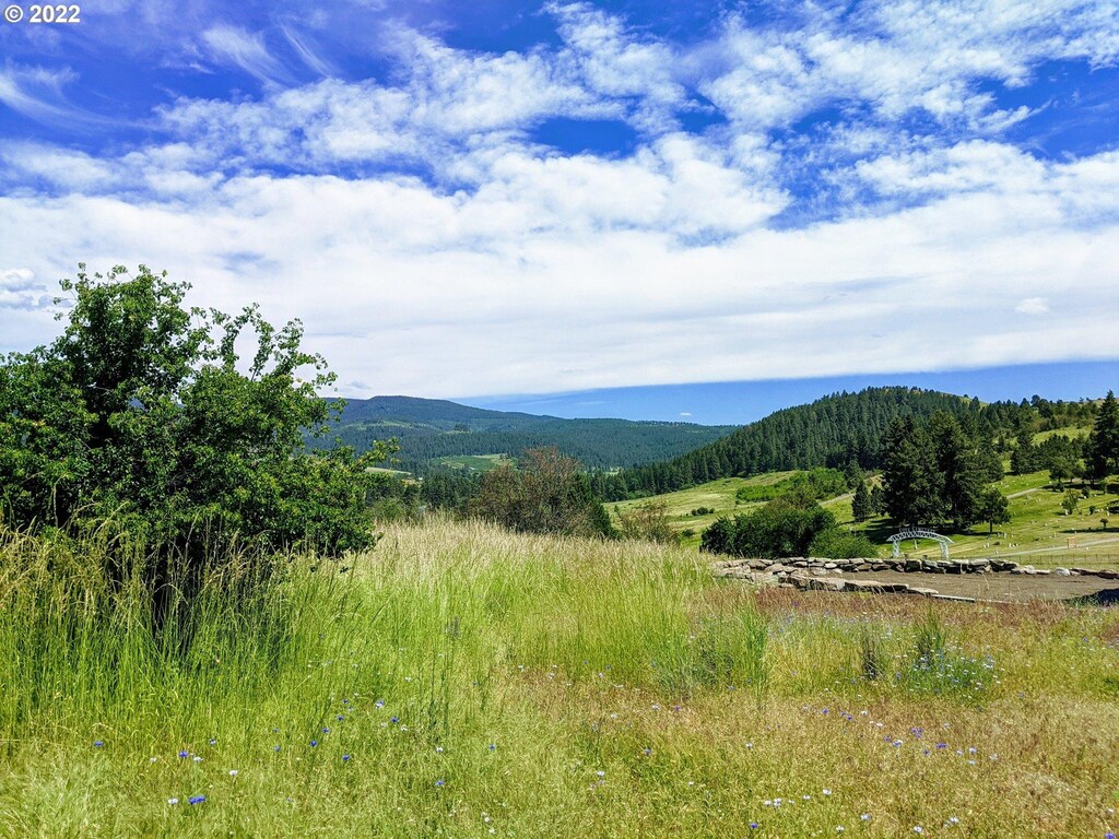 0 Rose Ridge Rd, Cove, OR 97824