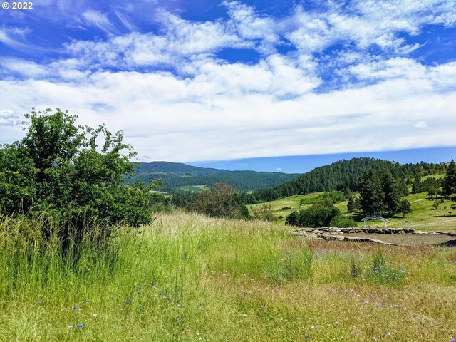 0 Rose Ridge Rd, Cove, OR 97824