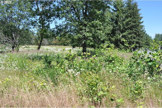 Listing photo 2 for Jeans Rd, Veneta OR 97487