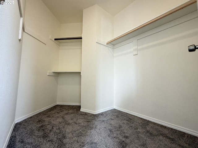 walk in closet with dark colored carpet