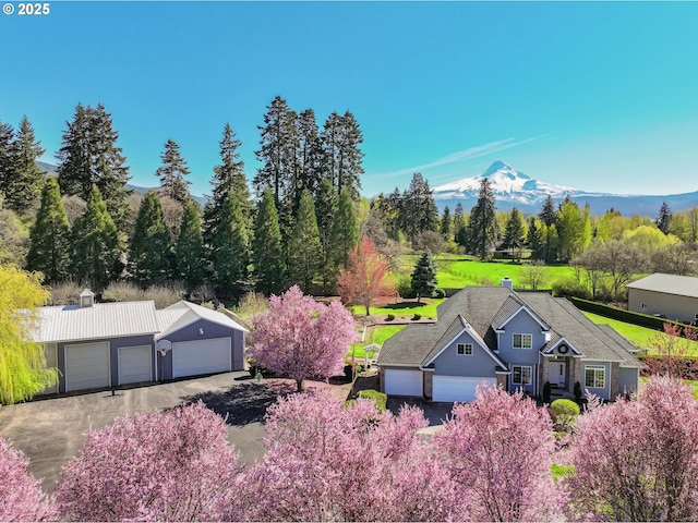 birds eye view of property featuring a mountain view