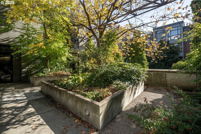 1030 NW 12th Ave Unit 431, Portland, OR 97209 - view of yard