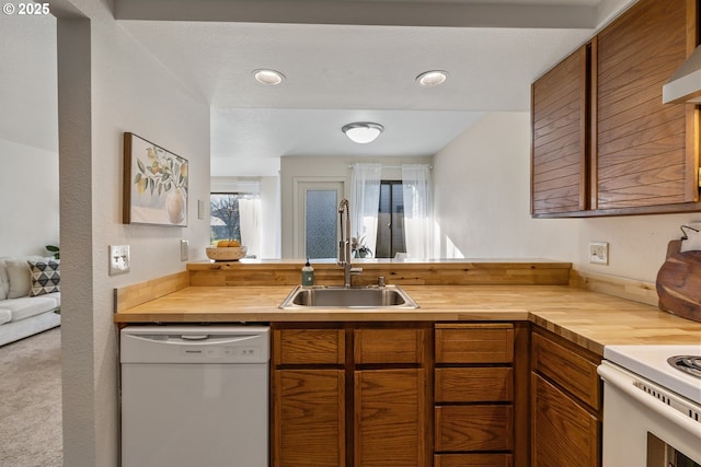 kitchen with dishwasher, sink, and wooden counters