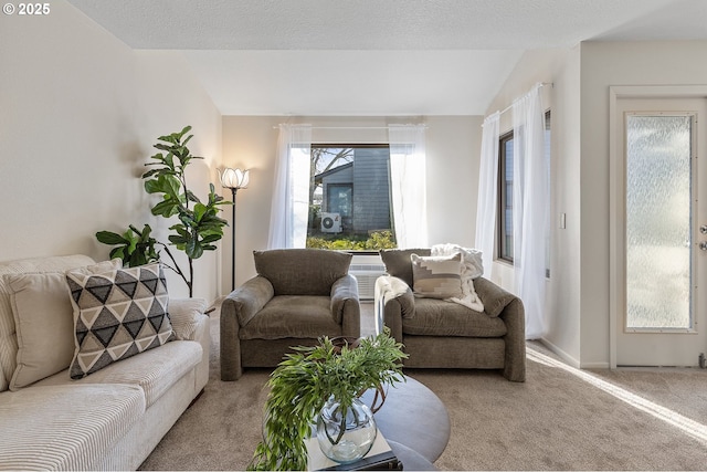 carpeted living room with vaulted ceiling and a textured ceiling