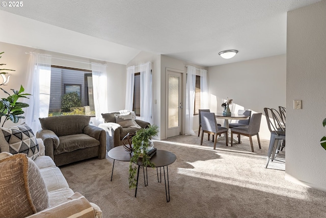 carpeted living room featuring a textured ceiling