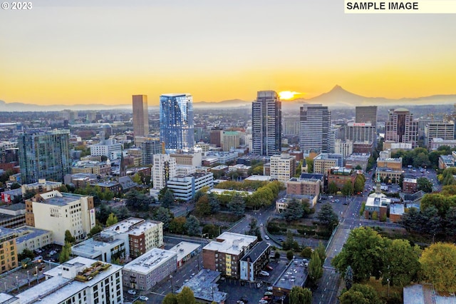 property's view of city with a mountain view