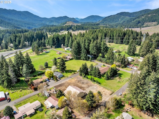 81 Mathany Rd, Carson, WA 98610 - aerial view of a mountainous background and a heavily wooded area