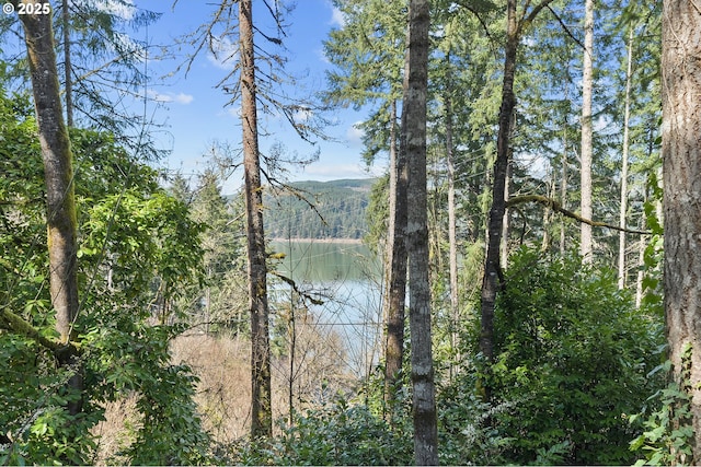 property view of water featuring a forest view and a mountain view