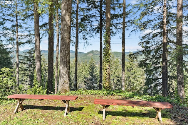 view of home's community with a wooded view and a mountain view
