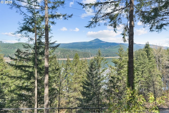 view of mountain feature with a wooded view