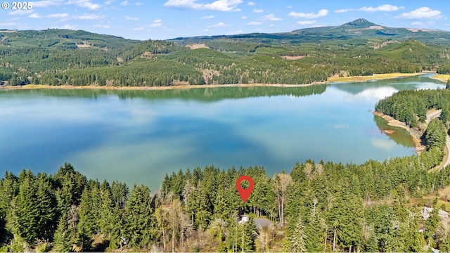 birds eye view of property with a water and mountain view and a forest view