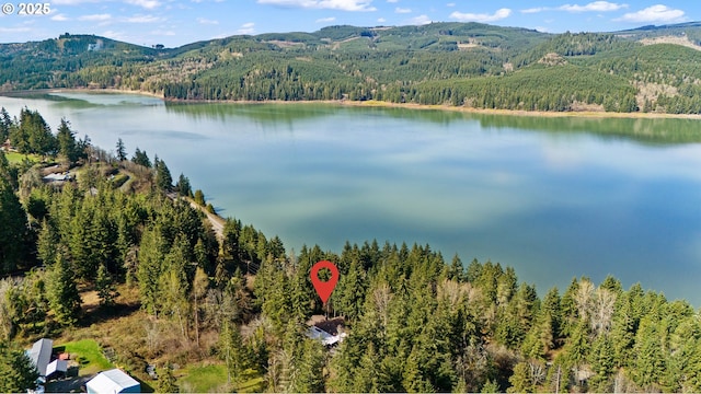 drone / aerial view featuring a view of trees and a water and mountain view