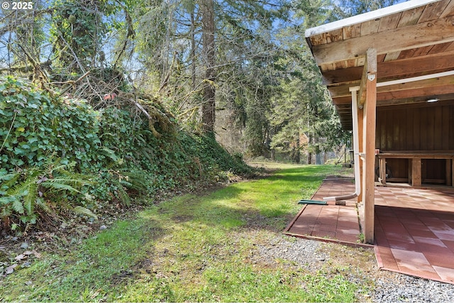 view of yard featuring a patio area