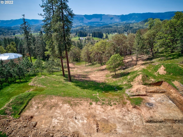 250 Pitchstone Ct, Roseburg OR, 97471 land for sale