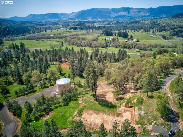 250 Pitchstone Ct, Roseburg, OR 97471
