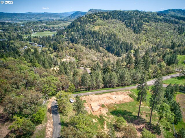 250 Pitchstone Ct, Roseburg, OR 97471