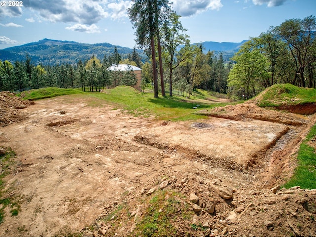 250 Pitchstone Ct, Roseburg, OR 97471