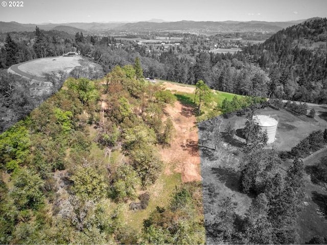 250 Pitchstone Ct, Roseburg, OR 97471