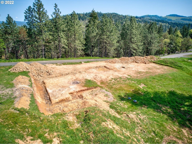 250 Pitchstone Ct, Roseburg, OR 97471