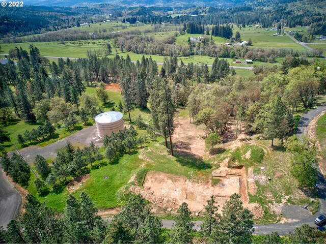 250 Pitchstone Ct, Roseburg, OR 97471