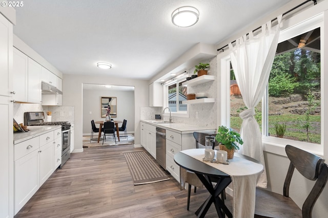 kitchen with light countertops, appliances with stainless steel finishes, under cabinet range hood, and tasteful backsplash