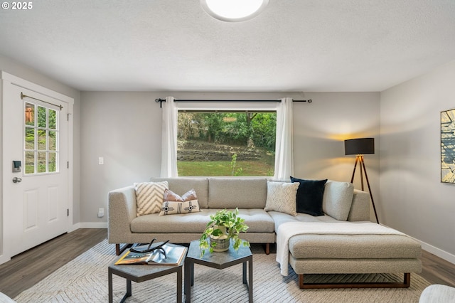 living area featuring a textured ceiling, baseboards, a healthy amount of sunlight, and wood finished floors