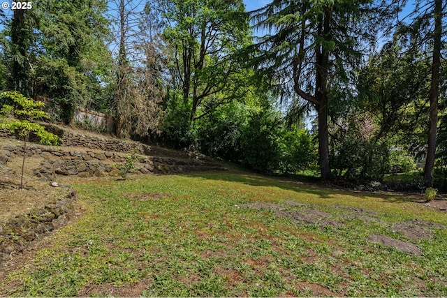 view of yard