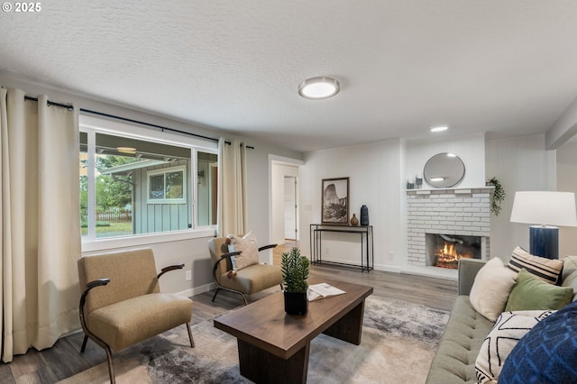 living room with baseboards, wood finished floors, and a fireplace