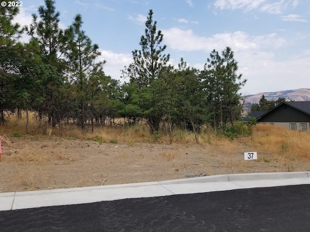 Gordon Ct Unit 37, The Dalles OR, 97058 land for sale