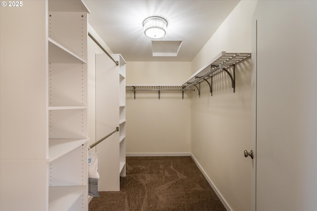 walk in closet with dark carpet