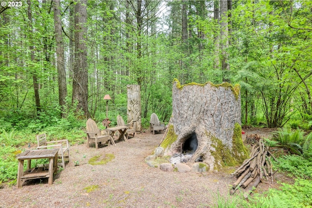 22091 S Ridge Rd, Oregon City, OR 97045 - view of yard
