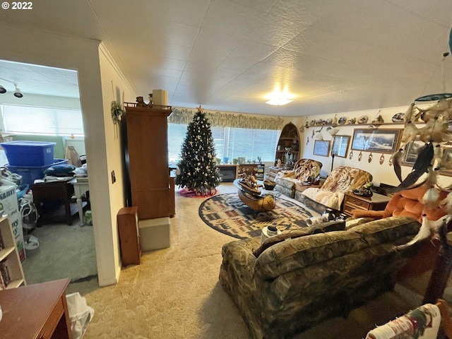 carpeted living room with plenty of natural light