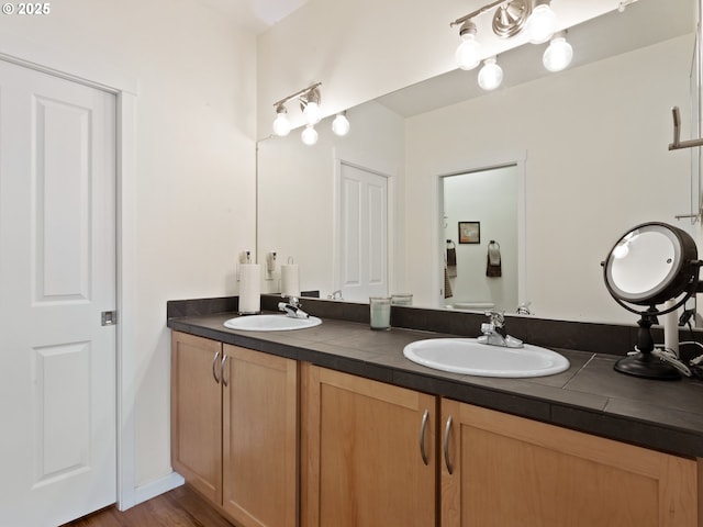 full bath featuring double vanity and a sink