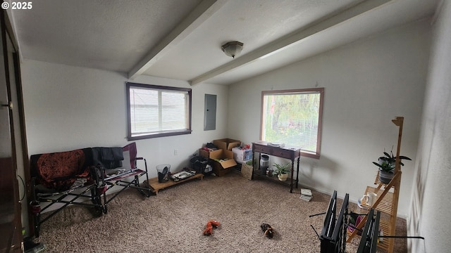 260 Pleasant Ave, Roseburg, OR 97470 - recreation room with electric panel and carpet flooring