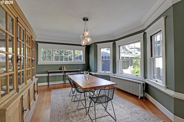 3701 NE Davis St, Portland, OR 97232 - dining area with radiator, crown molding, and wood finished floors