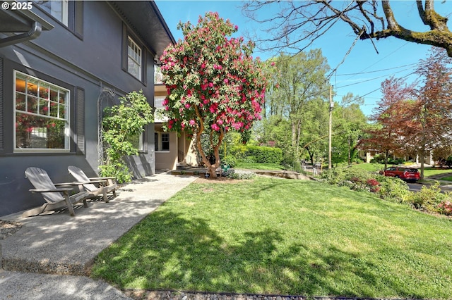 3701 NE Davis St, Portland, OR 97232 - view of green lawn
