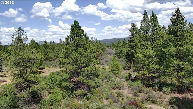 David St Unit 3, Chiloquin OR, 97624 land for sale