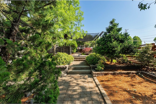 512 NE Division St, Myrtle Creek, OR 97457 - view of yard