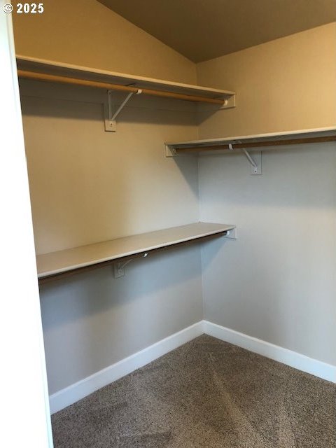 3843 Shannon St, Eugene, OR 97404 - walk in closet with carpet flooring and lofted ceiling
