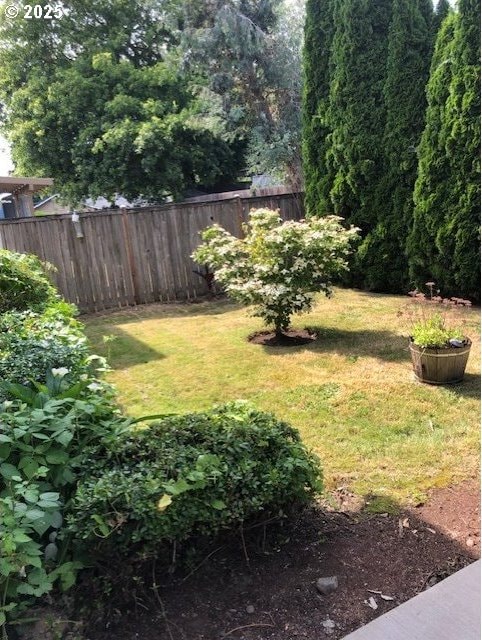 3843 Shannon St, Eugene, OR 97404 - view of yard