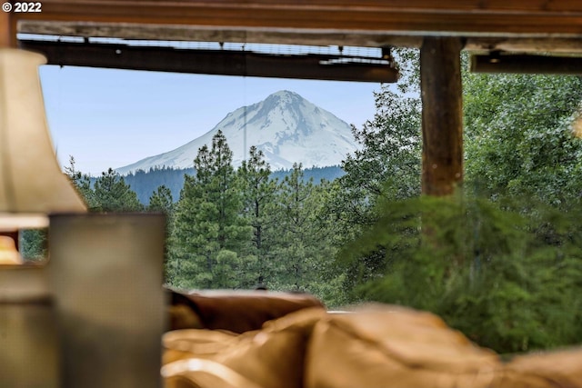 exterior details with a mountain view