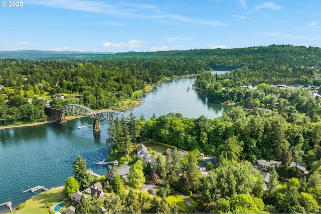 view of property location with a forest, a notable bridge, and a nearby body of water